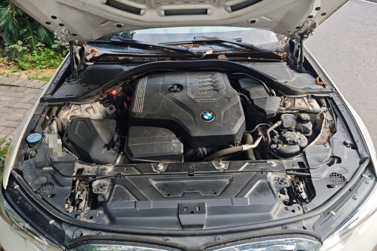 BMW 3 Series 2019 car image #22