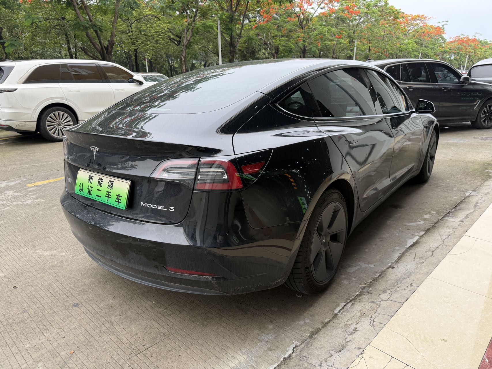 Tesla Model 3 2021 #5 Tesla Model 3 2021 car image #5