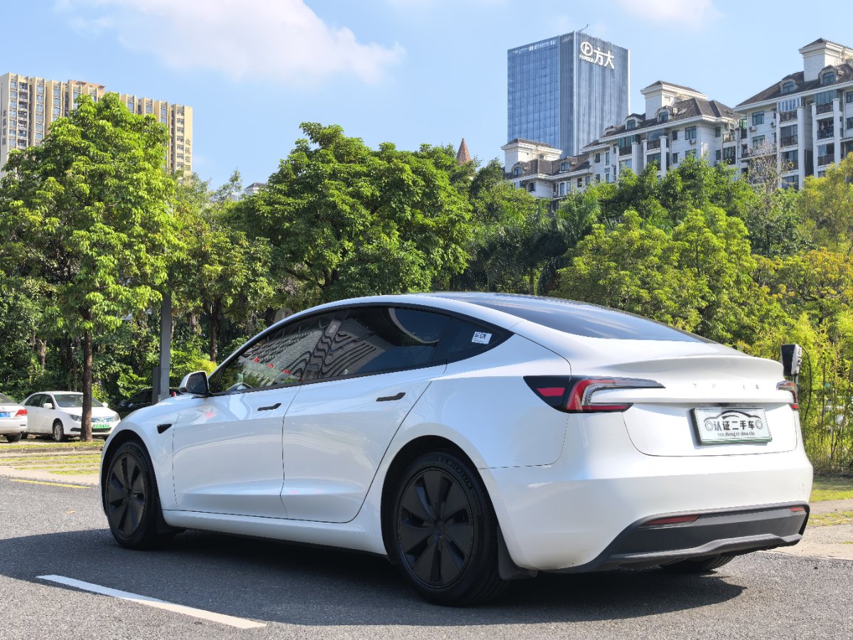 Tesla Model 3 2024 immagine di auto #9
