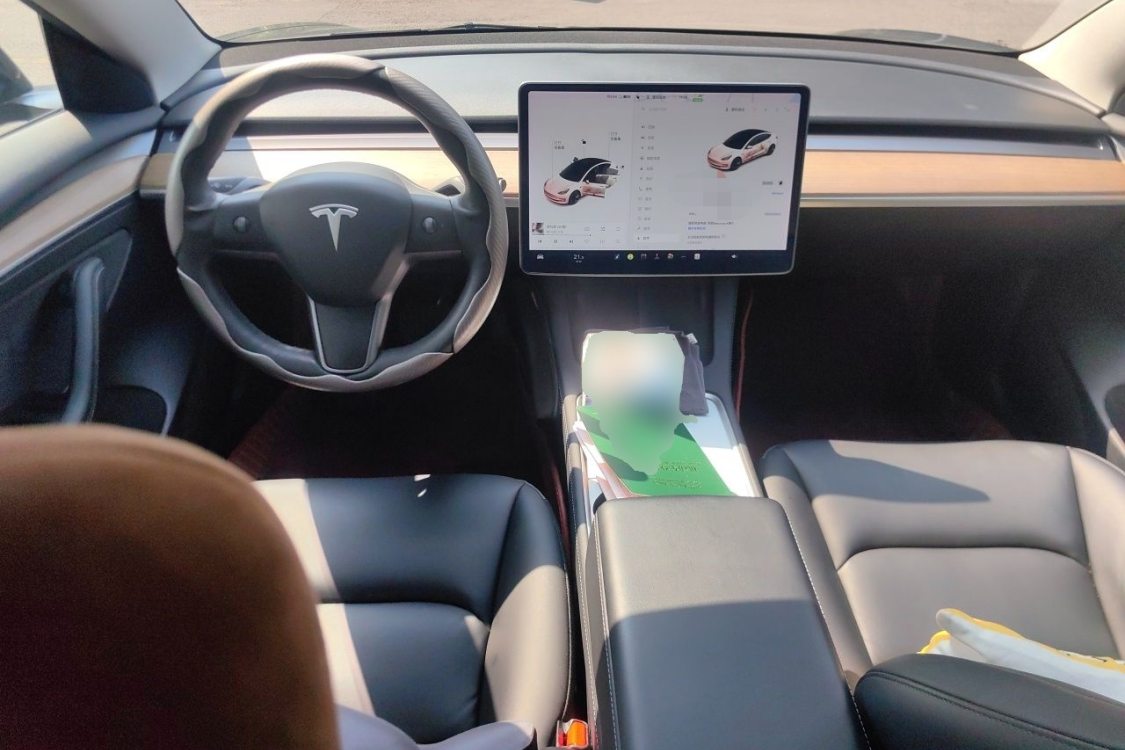 Tesla Model 3 2021 imagem de carro #21