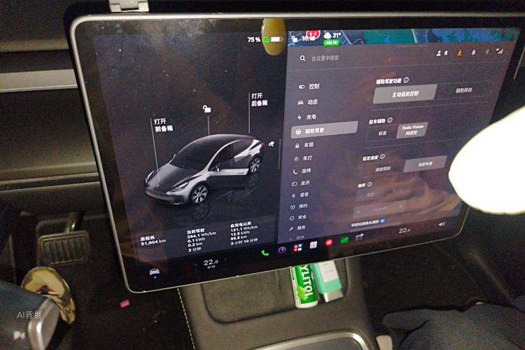 Tesla Model Y 2022 صورة سيارة #13