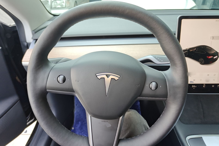 Tesla Model 3 2021 #11 Tesla Model 3 2021 car image #11