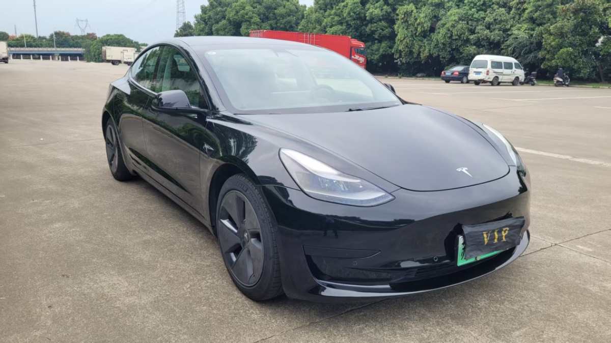 Tesla Model 3 2021 #3 Tesla Model 3 2021 car image #3