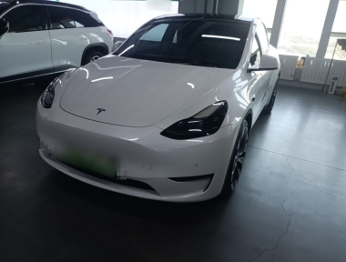 Tesla Model Y 2023 car image 