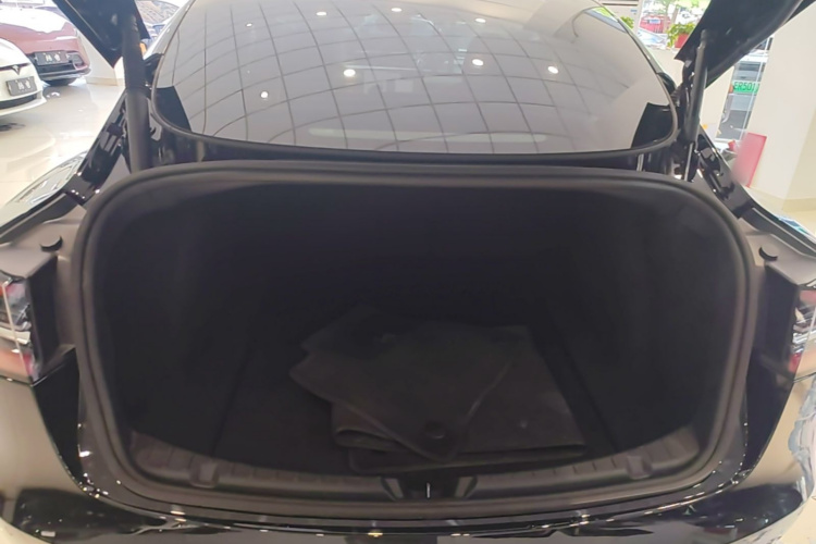 Tesla Model 3 2023 car image #19