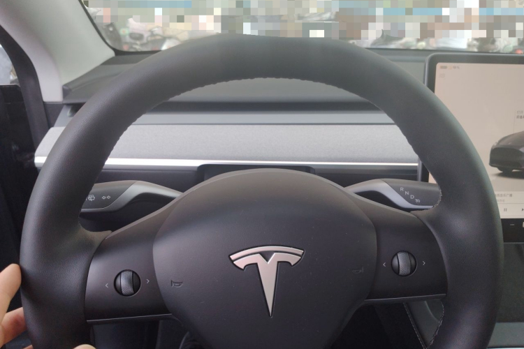 Tesla Model Y 2024 car image #12
