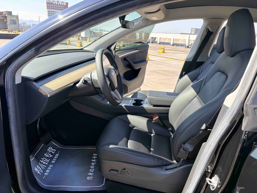 Tesla Model Y 2022 car image #4
