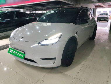 Tesla Model Y 2022 car image 