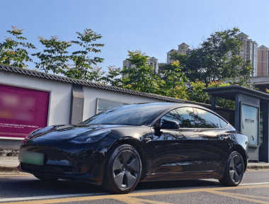 Tesla Model 3 2022 Tesla Model 3 2022 car image