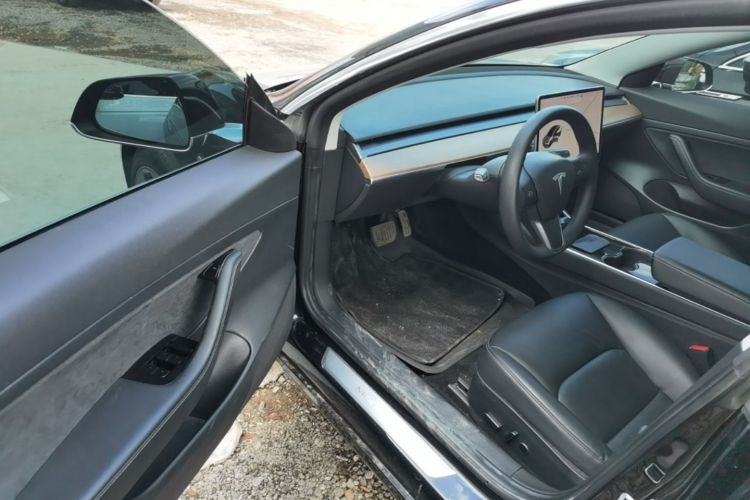 Tesla Model 3 2020 car image #16