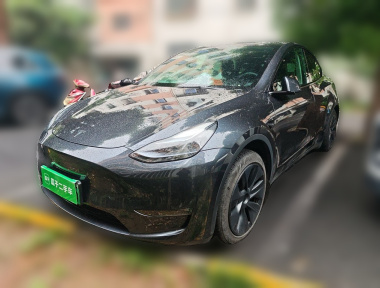 Tesla Model Y 2024 Tesla Model Y 2024 car image