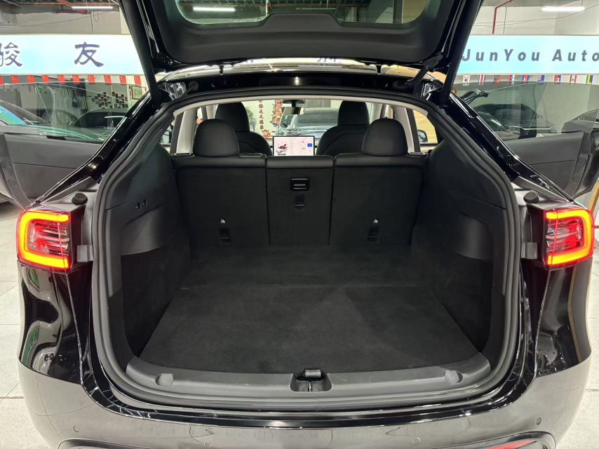Tesla Model 3 2023 car image #13