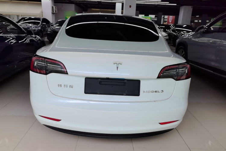 Tesla Model 3 2023 car image #6