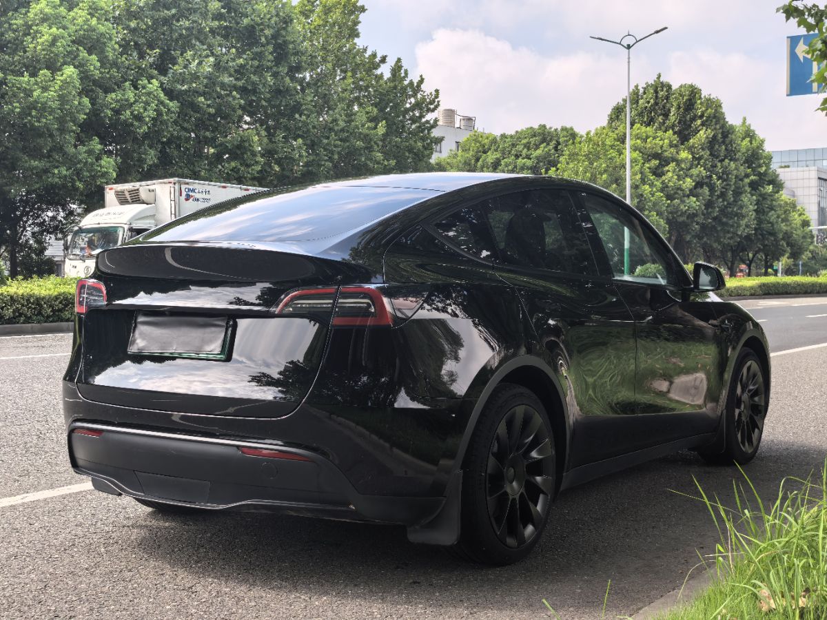 Tesla Model Y 2021 #4 Tesla Model Y 2021 car image #4