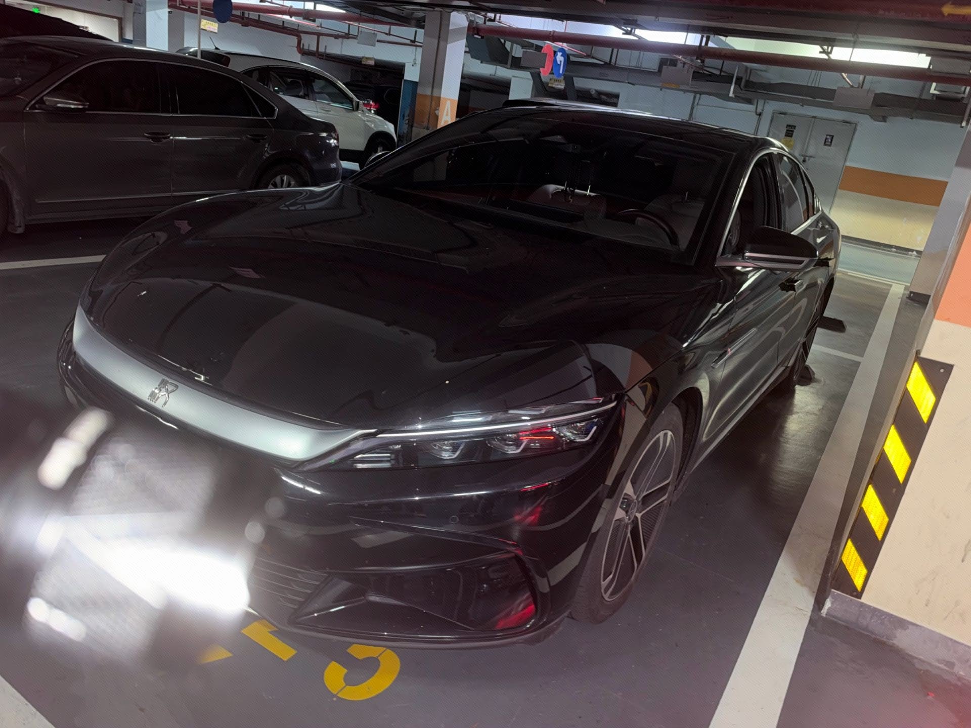 BYD Han 2024 BYD Han 2024 immagine di auto