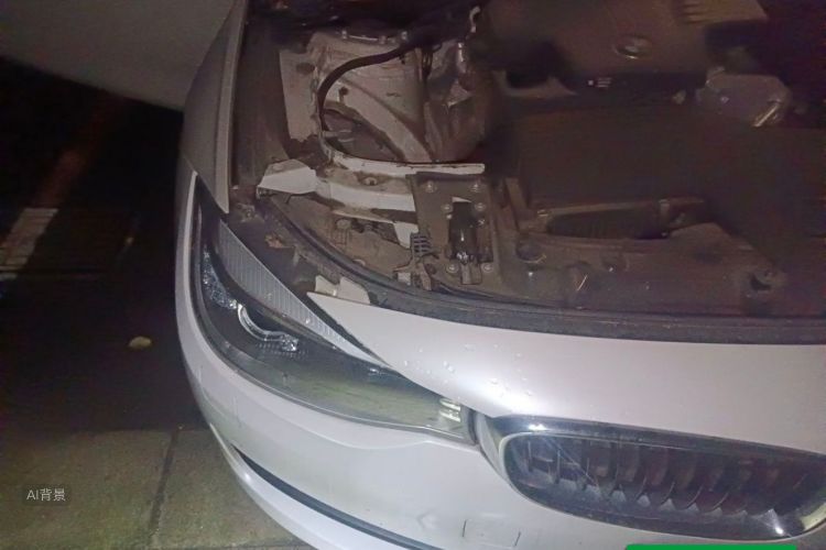 BMW 3 Series GT 2016 #8 BMW 3 Series GT 2016 car image #8