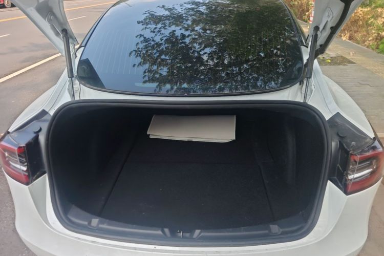 Tesla Model 3 2020 car image #19