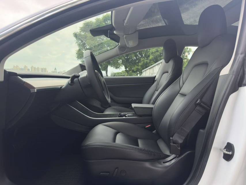 Tesla Model 3 2020 #6 Tesla Model 3 2020 car image #6