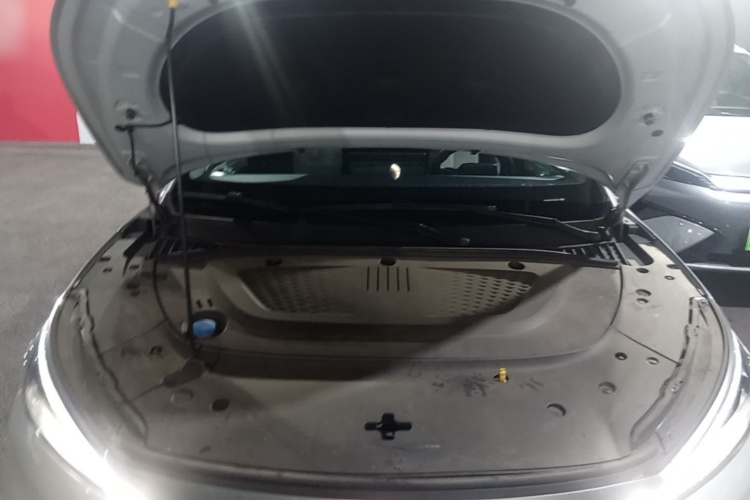 BYD Yuan Plus 2022 car image #20