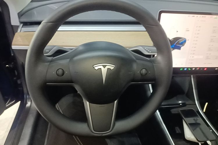 Tesla Model 3 2020 car image #11