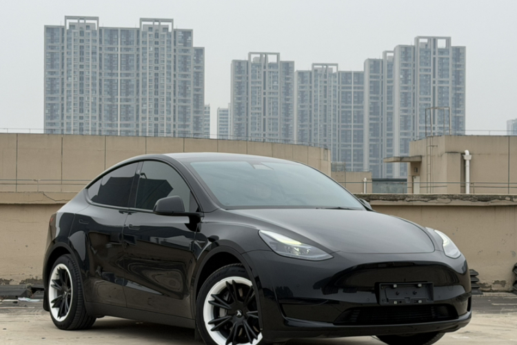 Tesla Model Y 2023 car image #4