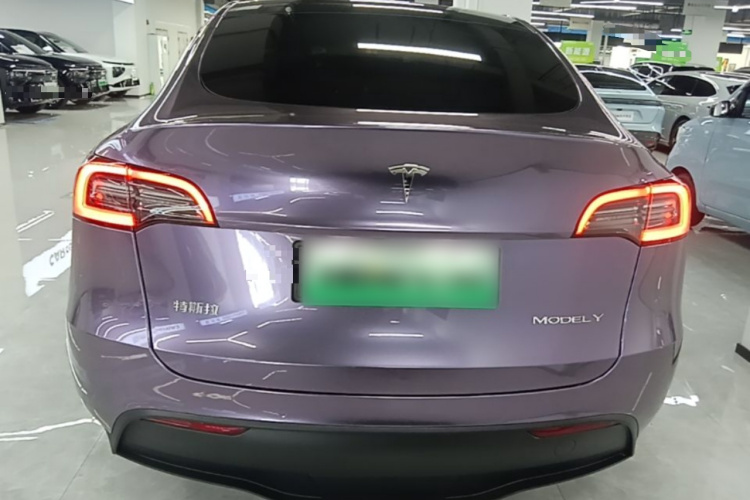 Tesla Model Y 2022 immagine di auto #6