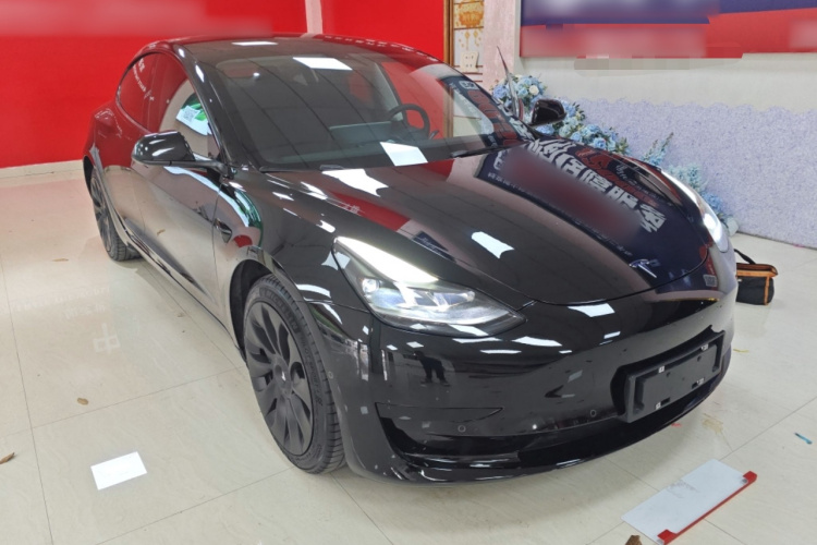Tesla Model 3 2022 car image #6
