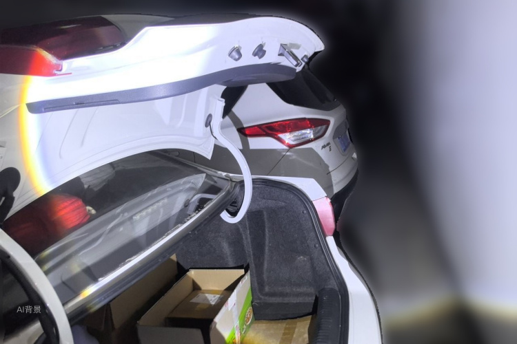 Volkswagen Santana 2016 car image #21