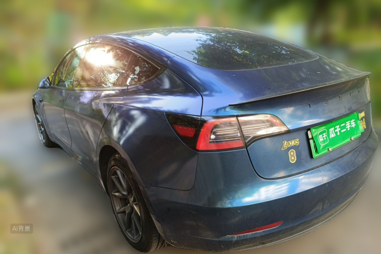 Tesla Model 3 2021 car image #5