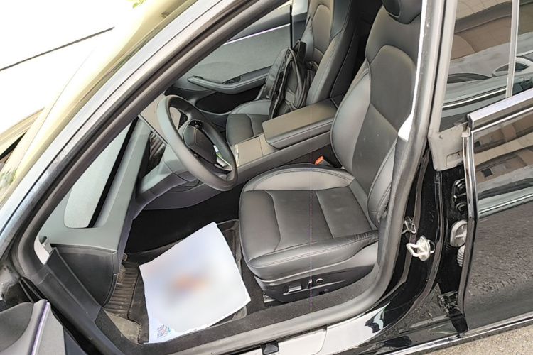 Tesla Model 3 2024 car image #15