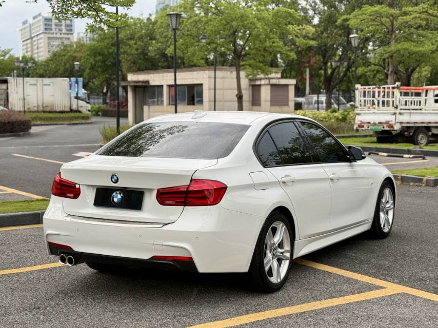 BMW 3 Series 2018 car image #9
