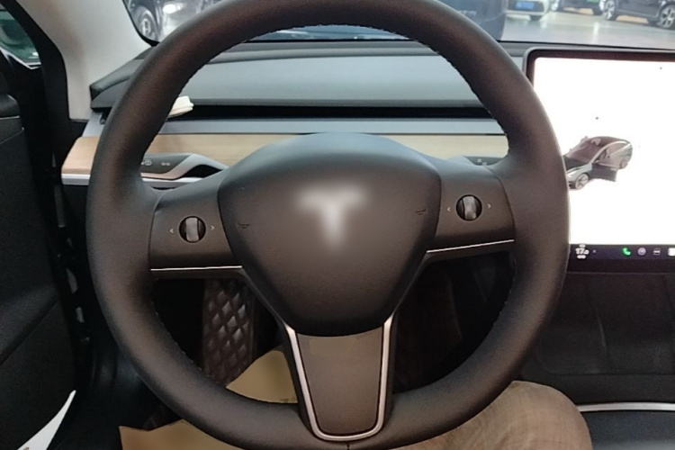 Tesla Model 3 2021 #11 Tesla Model 3 2021 car image #11