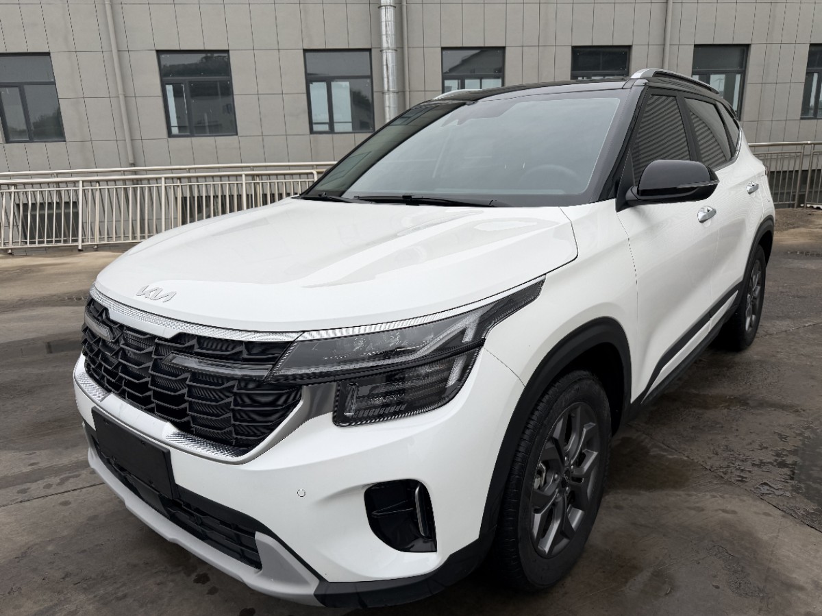 Kia Seltos 2023 car image 