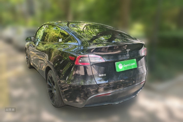 Tesla Model Y 2021 car image #5