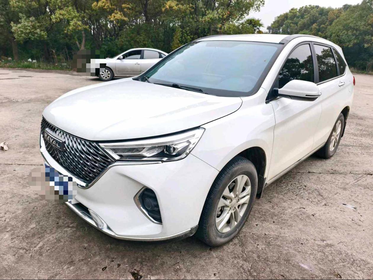 Haval M6 2023 汽车图片 