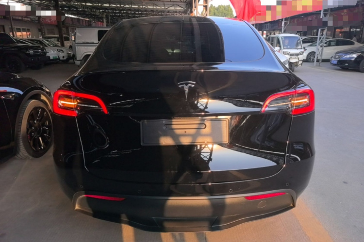 Tesla Model Y 2023 #6 Tesla Model Y 2023 car image #6