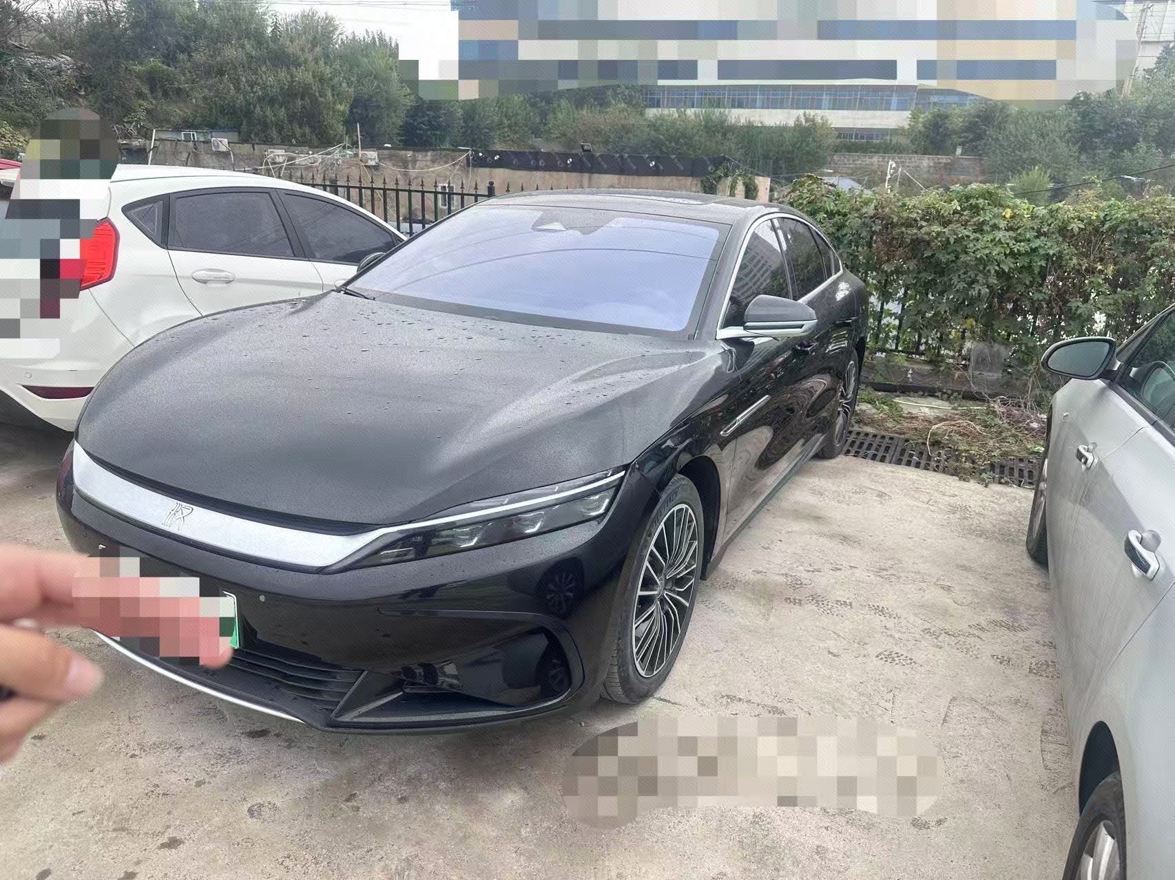 BYD Han 2024 car image 