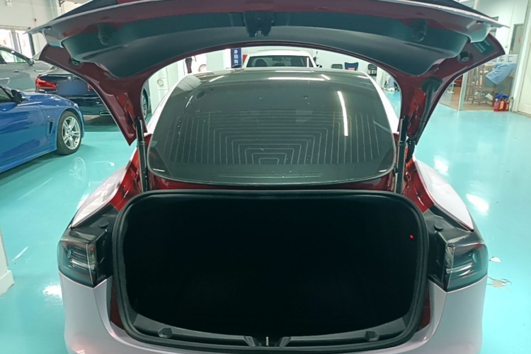 Tesla Model 3 2020 car image #19