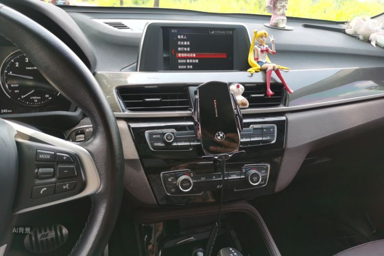BMW X1 2019 car image #15