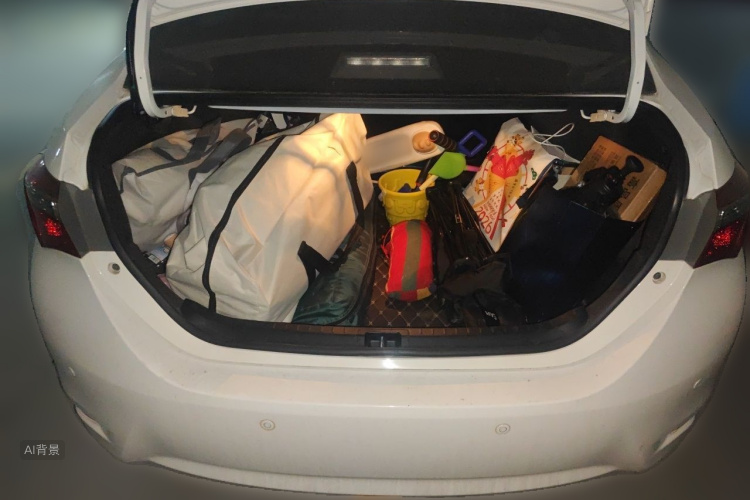 Toyota Corolla 2019 car image #21