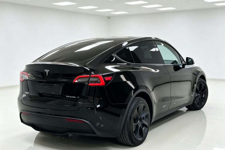 Tesla Model Y 2023 #6 Tesla Model Y 2023 car image #6