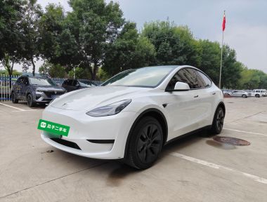 Tesla Model Y 2024 car image 