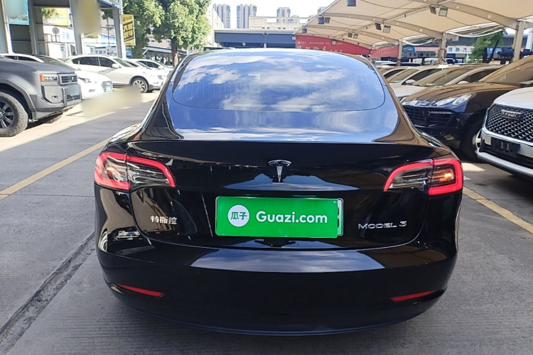 Tesla Model 3 2020 #6 Tesla Model 3 2020 car image #6