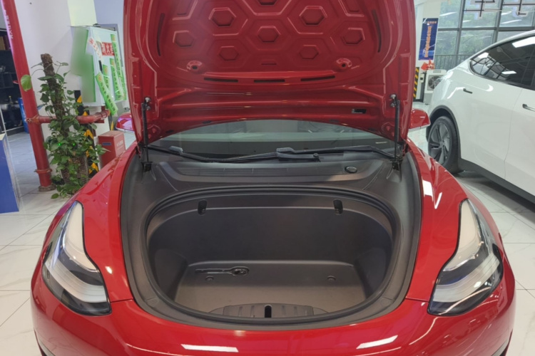Tesla Model 3 2020 car image #20