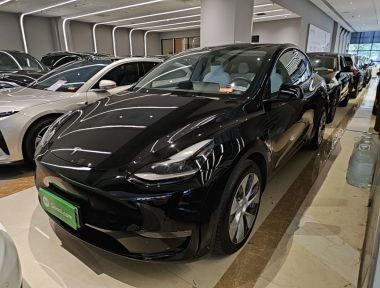 Tesla Model Y 2022 Tesla Model Y 2022 car image