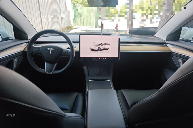 Tesla Model 3 2022 car image #11