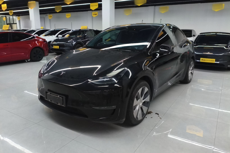 Tesla Model Y 2021 #2 Tesla Model Y 2021 car image #2