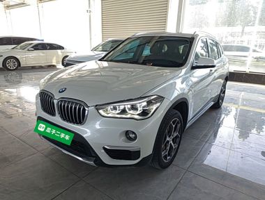 BMW X1 2019 BMW X1 2019 car image