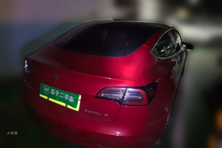 Tesla Model 3 2020 car image #7
