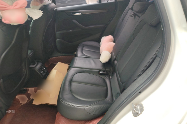 BMW X1 2017 car image #19